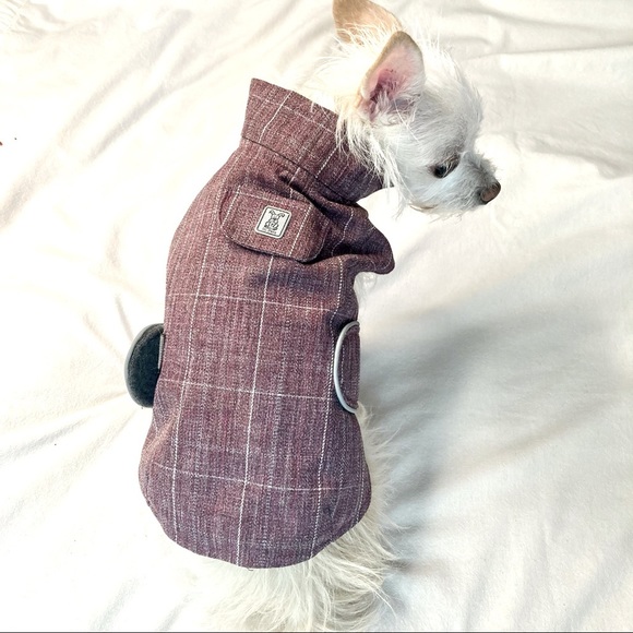 Raincoat with warm lining for small-size dog - Picture 1 of 12